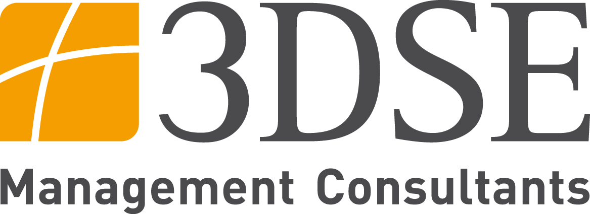 3DSE Management Consultants GmbH Logo